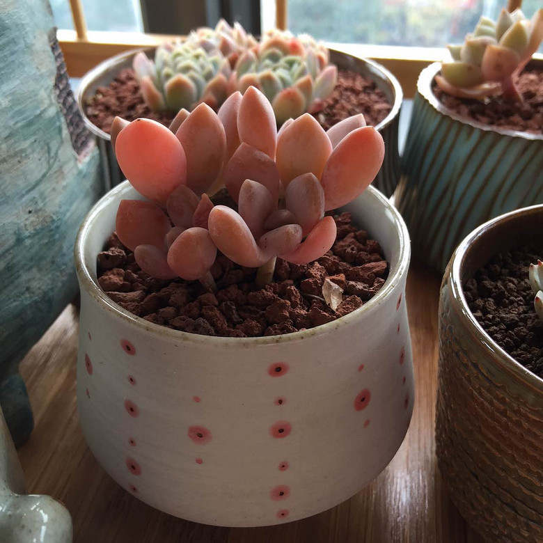 �������ڹ�ȥ���Ҵ��߿�ʼ����������