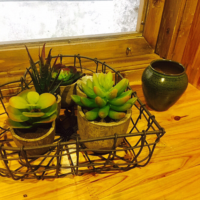 ����Ʊ���ɹ����