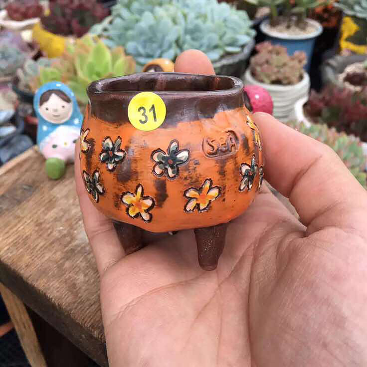 ����Ʊ�����ӰƱ������