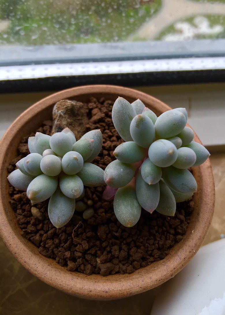 �������ڹ�ȥ���Ҵ��߿�ʼ����������