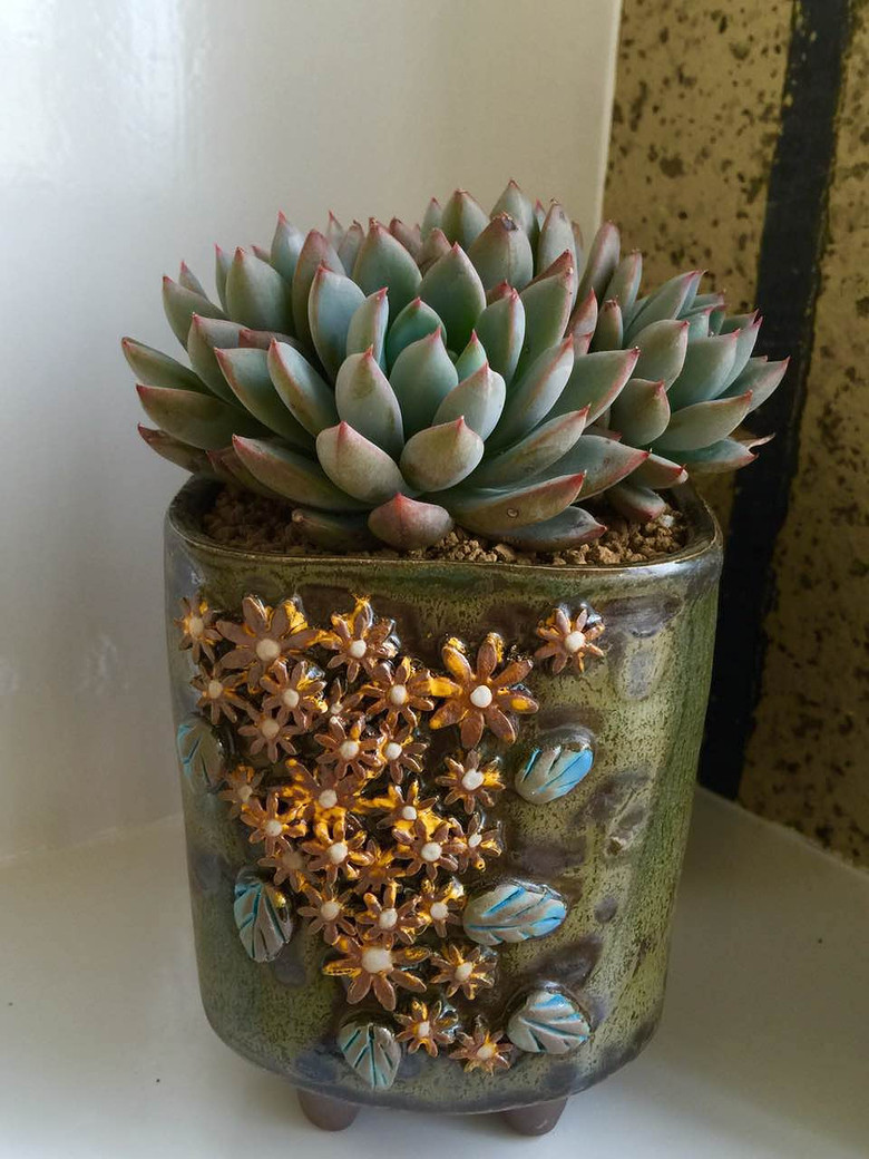 �������ڹ�ȥ���Ҵ��߿�ʼ����������