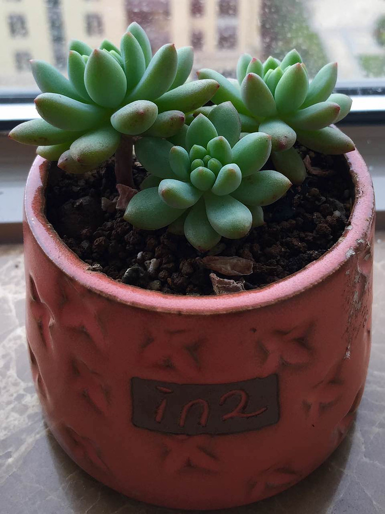 �������ڹ�ȥ���Ҵ��߿�ʼ����������