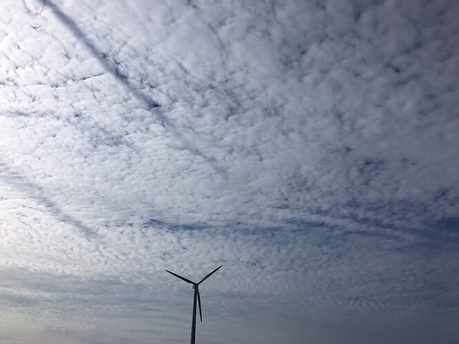 ���ƹ�չ��Ʊ������Ʊ