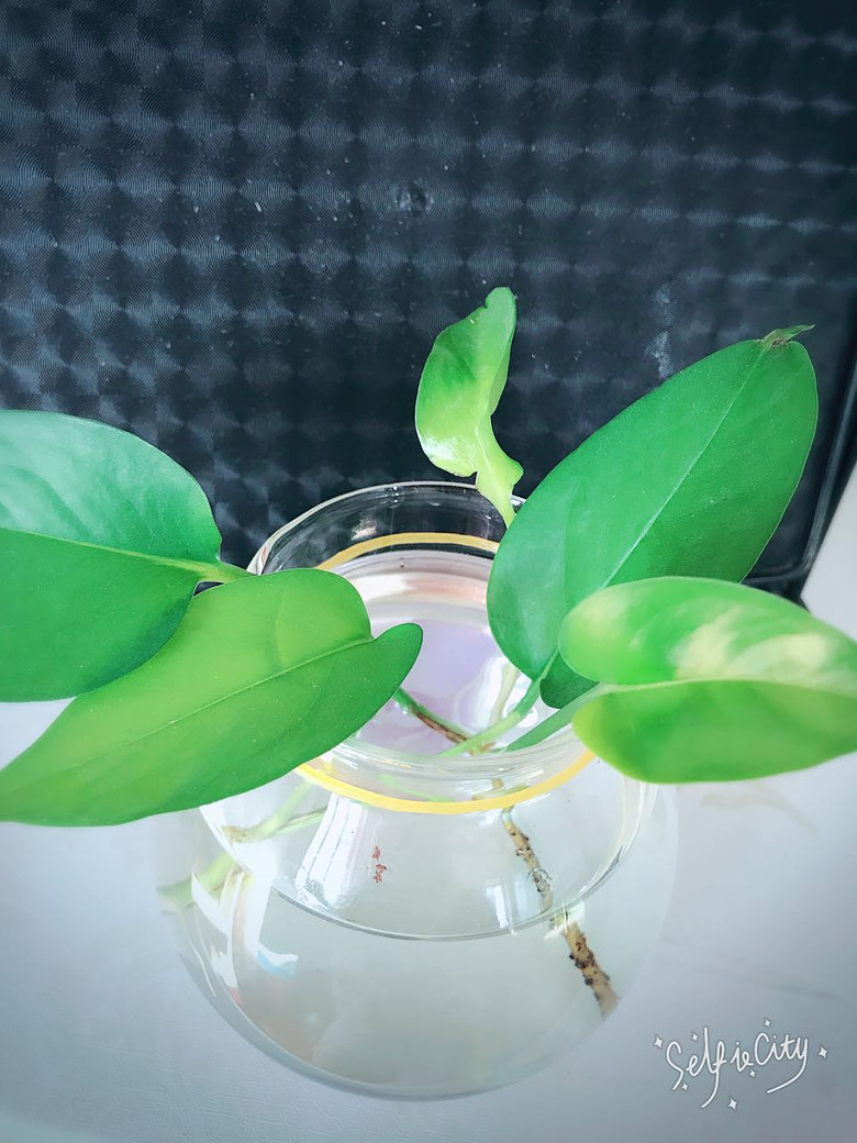 ��Ʊ���ɹ����֮����Сʱ��