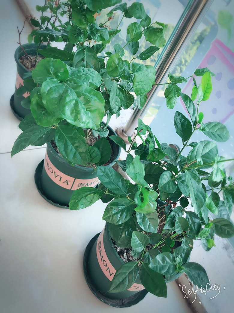 ��Ʊ���ɹ����֮����Сʱ��