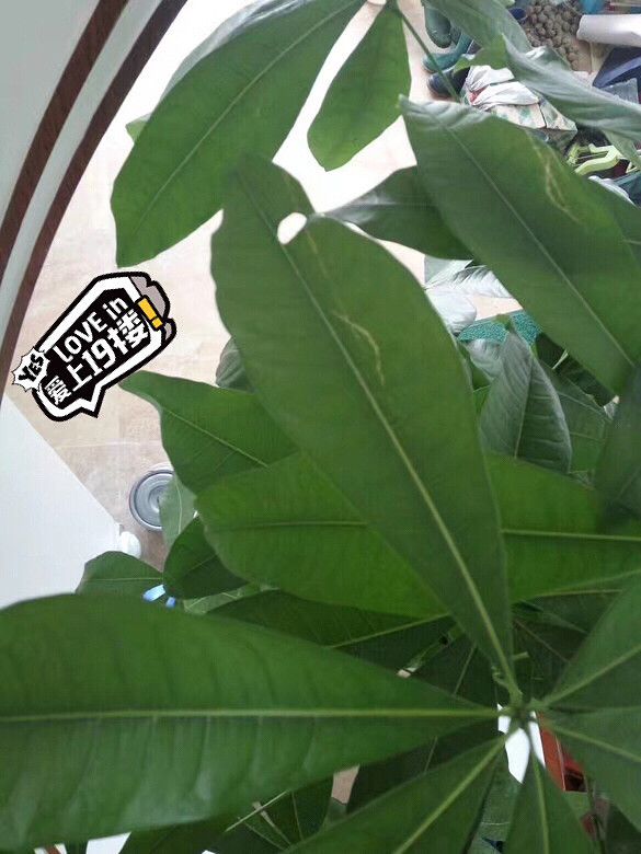 �ҵķ���������������