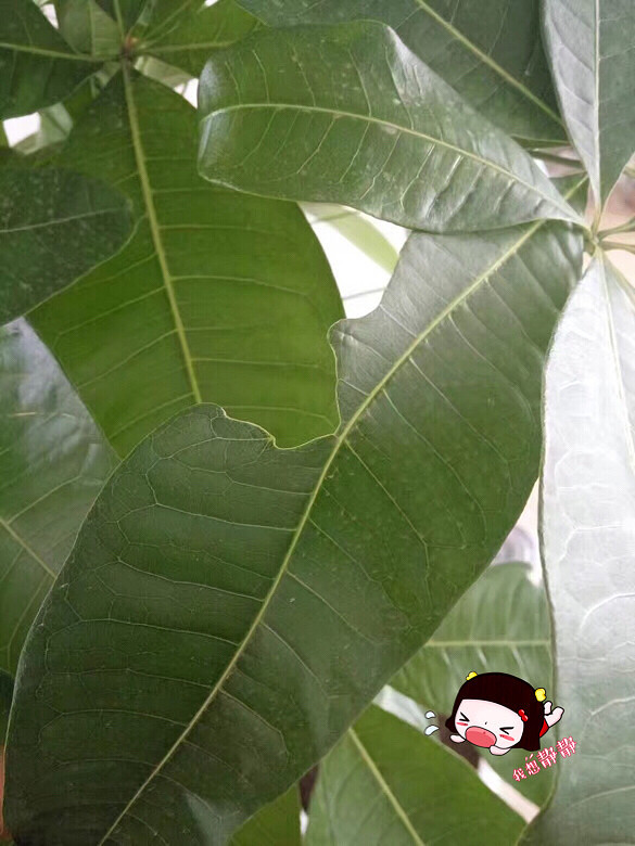 �ҵķ���������������