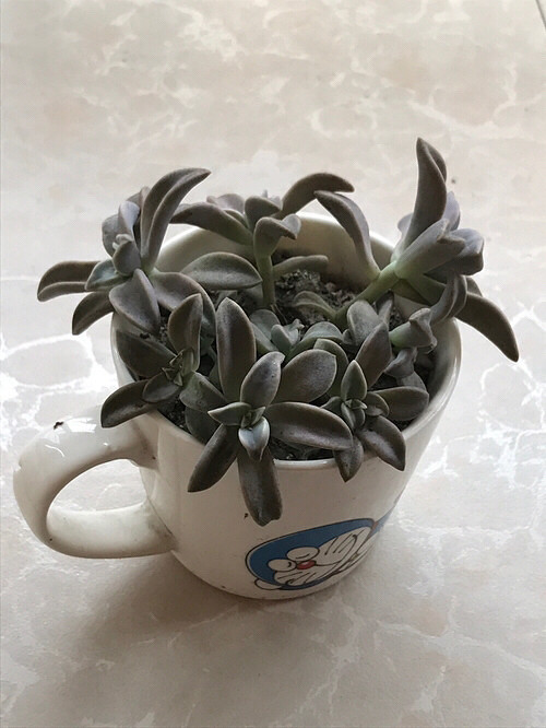 �Ҽҵ�����