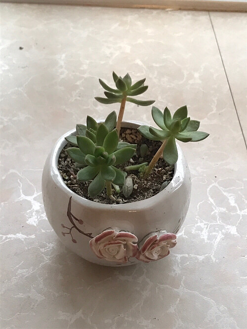 �Ҽҵ�����