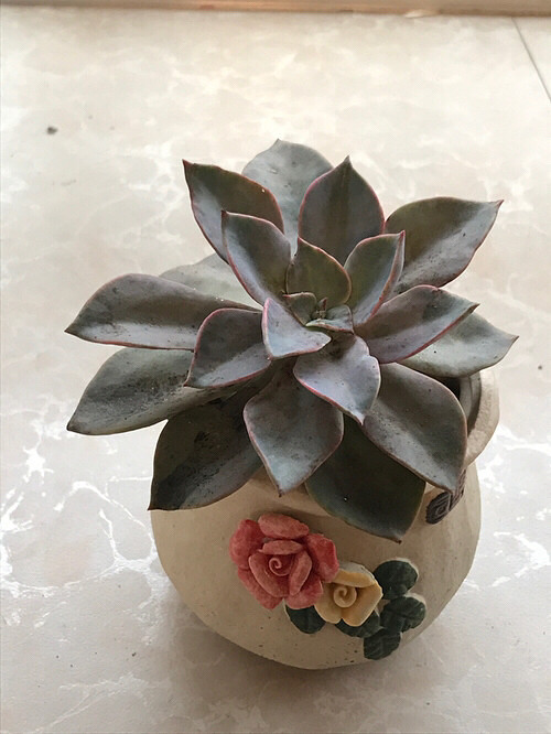 �Ҽҵ�����