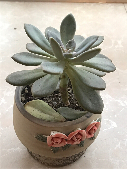 �Ҽҵ�����