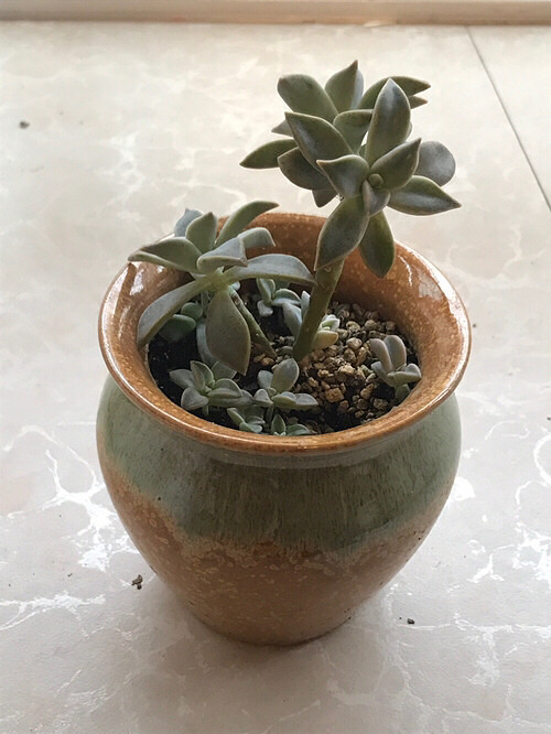 �Ҽҵ�����