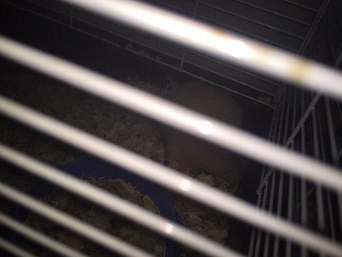 ��˿�����ˣ��ÿ���