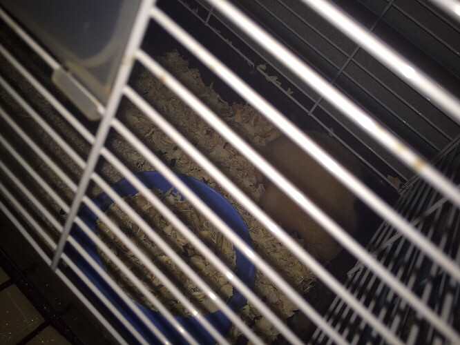 ��˿�����ˣ��ÿ���