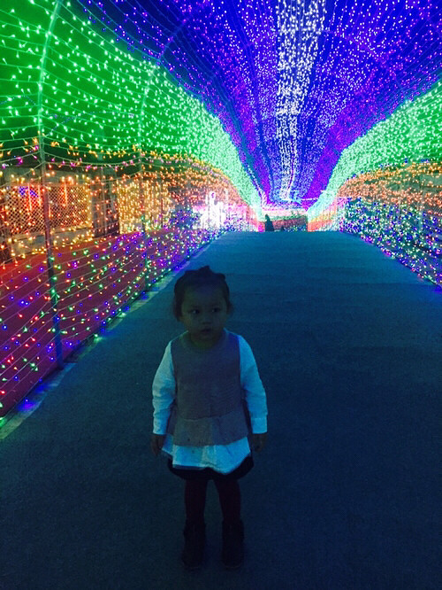 ����Ҫ���������ڡ�3D�ƹ��㷴����