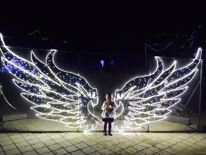 ����Ҫ���������ڡ�3D�ƹ��㷴����