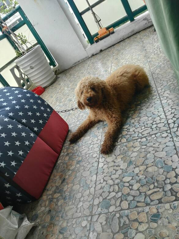 �³�Ա����