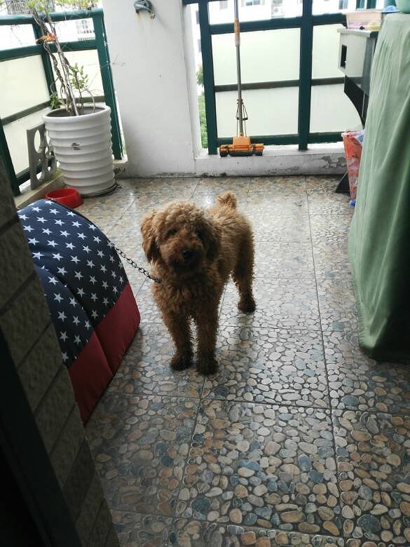 �³�Ա����