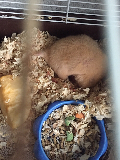 �����󣬶��Լ����ģ������б�֤���ɷ����