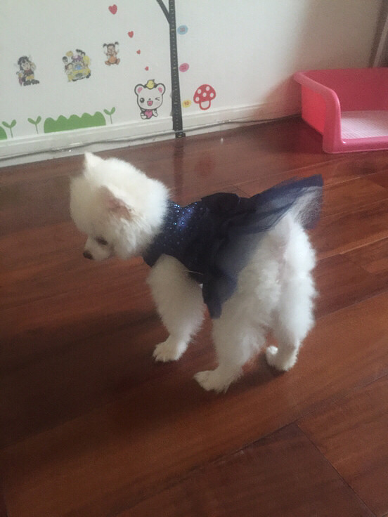 �����Ҽ�babyСʱ����Ƭ