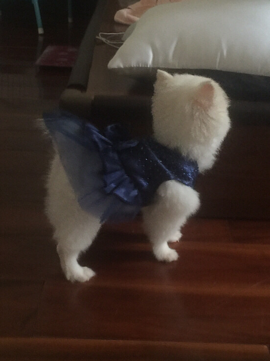 �����Ҽ�babyСʱ����Ƭ