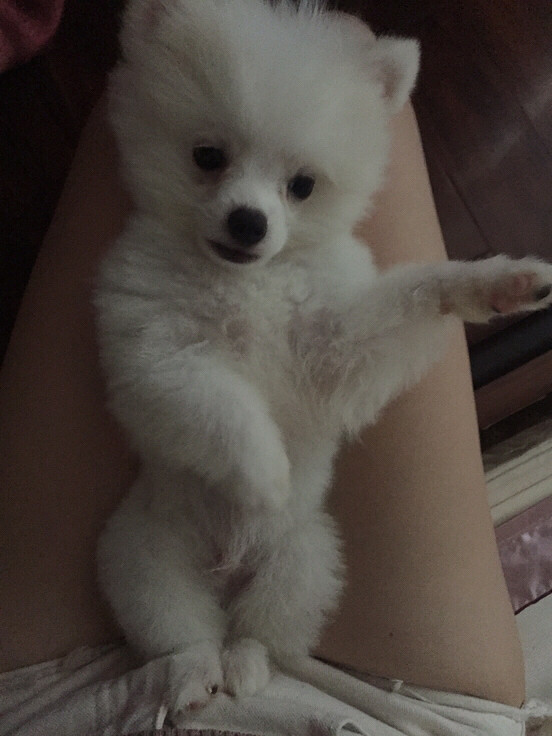 �����Ҽ�babyСʱ����Ƭ