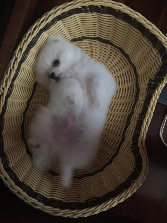 �����Ҽ�babyСʱ����Ƭ