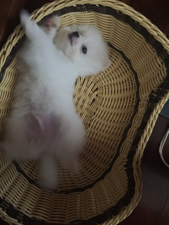 �����Ҽ�babyСʱ����Ƭ