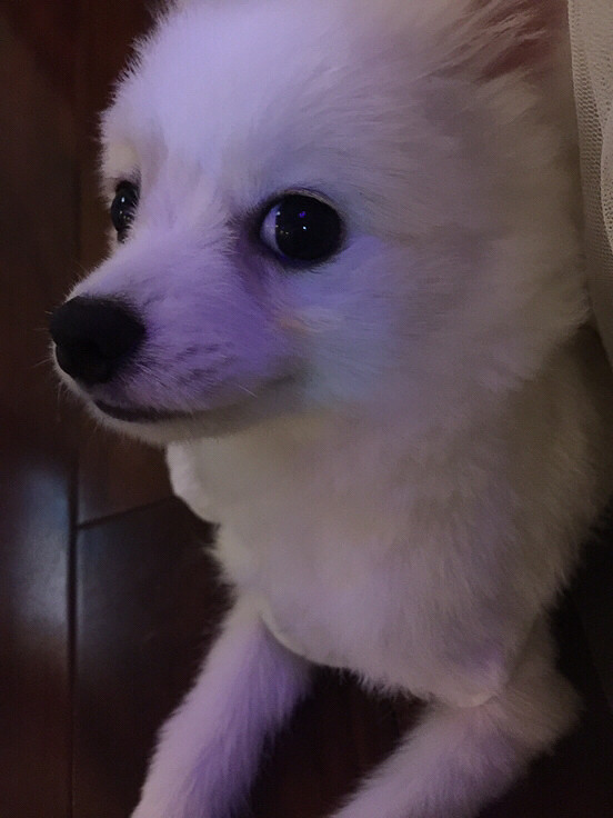 һ�Բ��ϡ����������Լ����