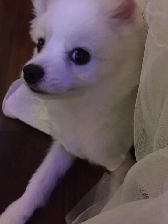 һ�Բ��ϡ����������Լ����