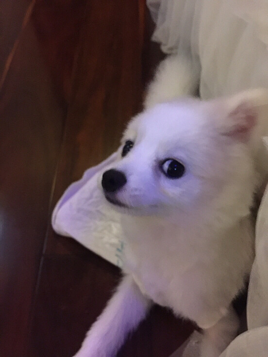 һ�Բ��ϡ����������Լ����