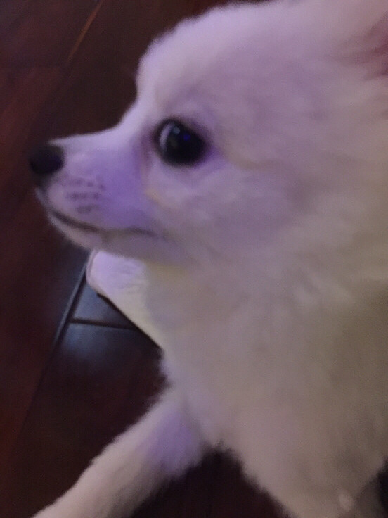 һ�Բ��ϡ����������Լ����