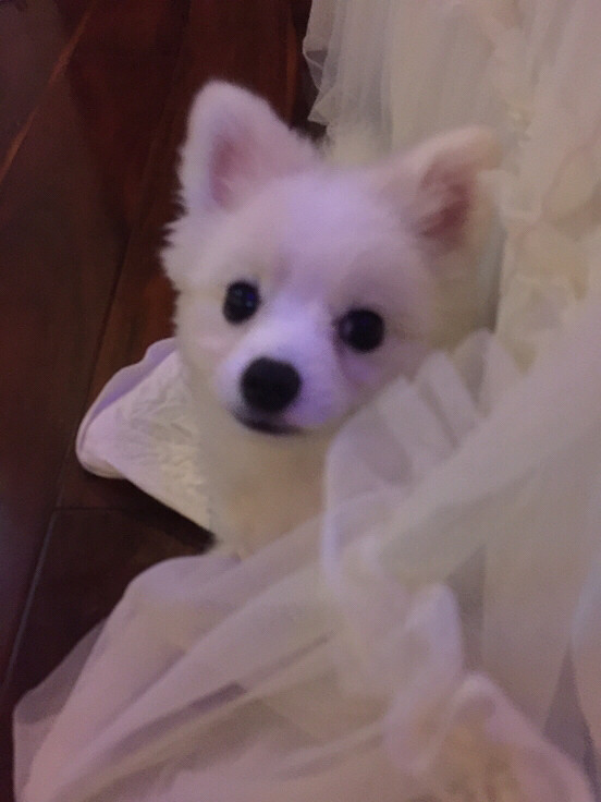 һ�Բ��ϡ����������Լ����