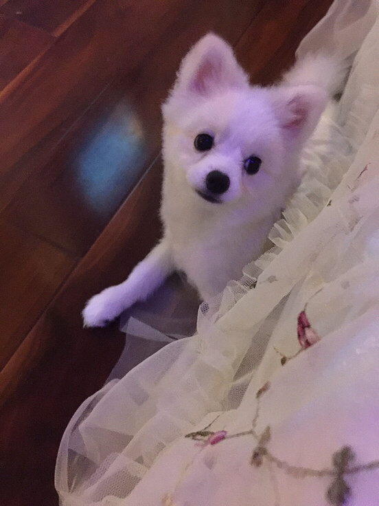 һ�Բ��ϡ����������Լ����