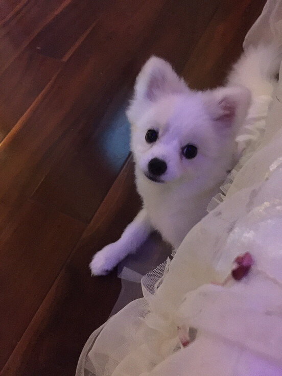 һ�Բ��ϡ����������Լ����