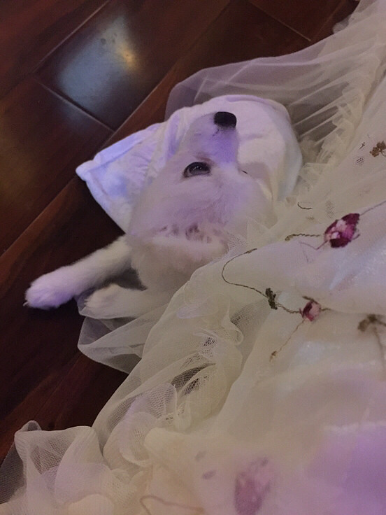 һ�Բ��ϡ����������Լ����