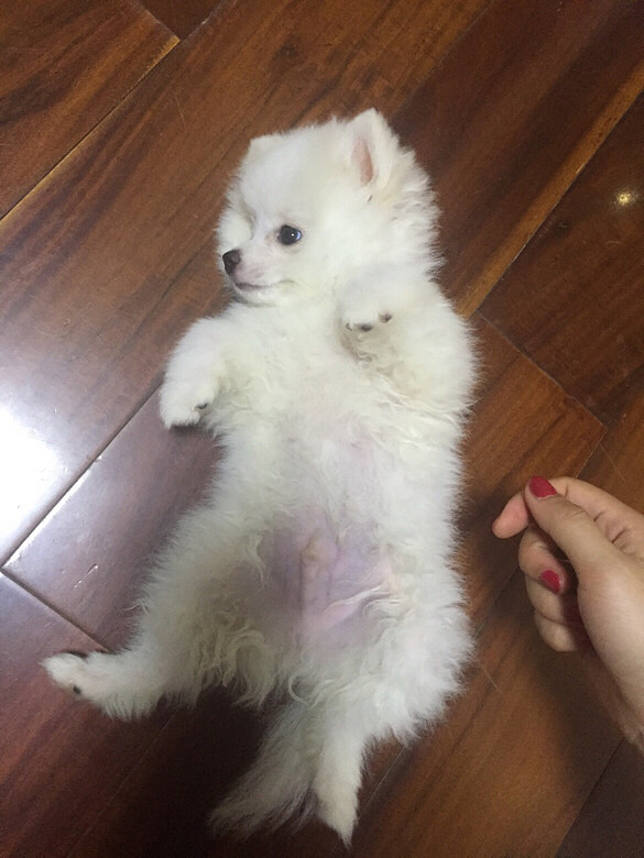 �����Ҽ�babyСʱ����Ƭ