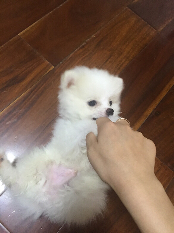 �����Ҽ�babyСʱ����Ƭ