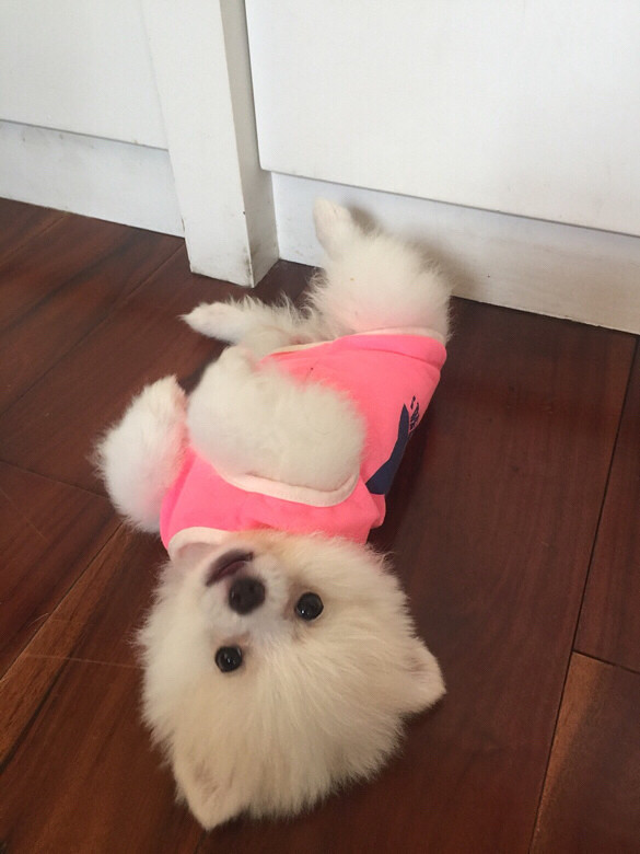 �����Ҽ�babyСʱ����Ƭ