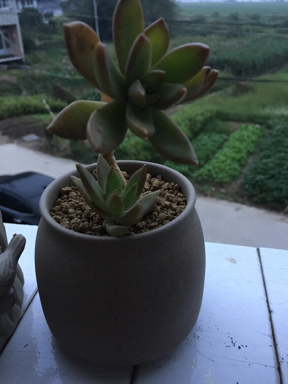 ������¼�