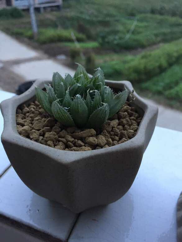 ������¼�