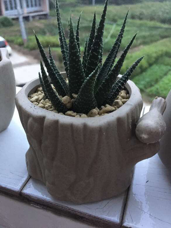 ������¼�