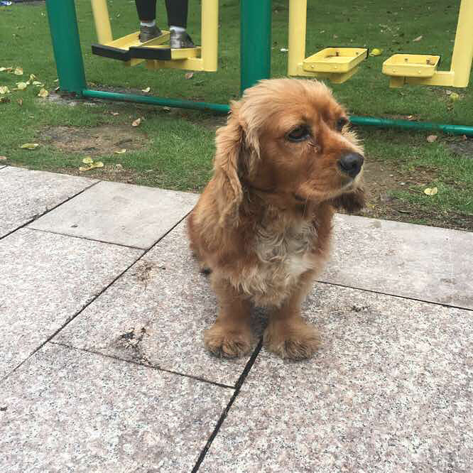 ��������ɿ�