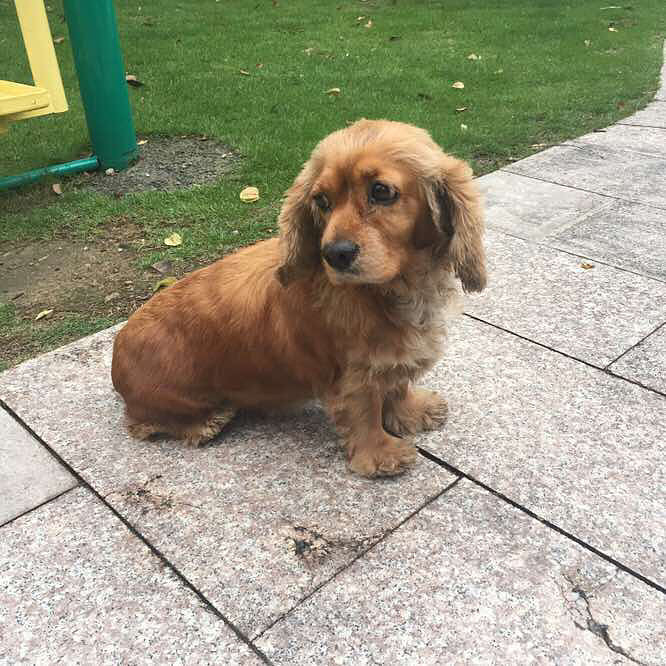 ��������ɿ�