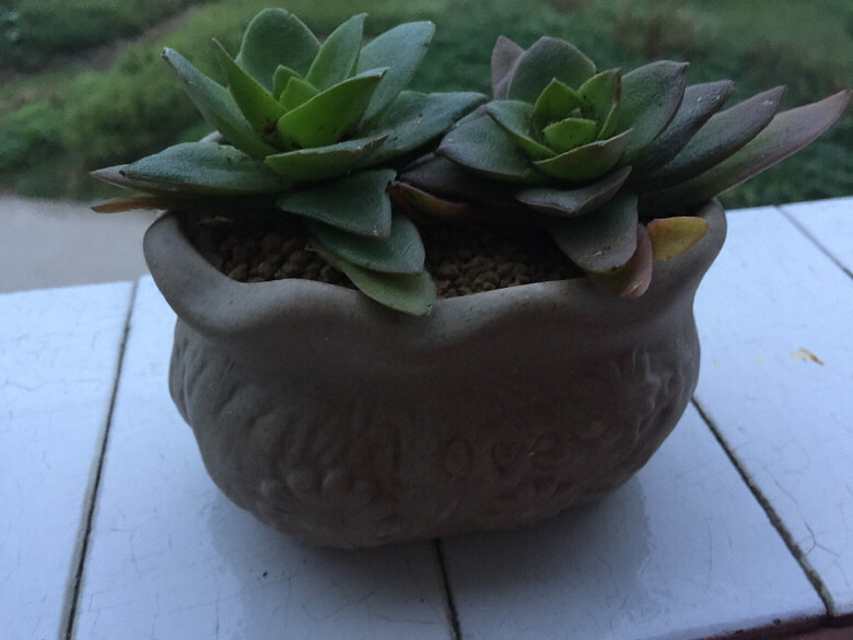 ������¼�