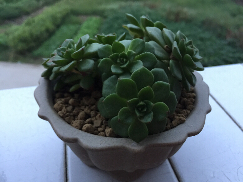 ������¼�