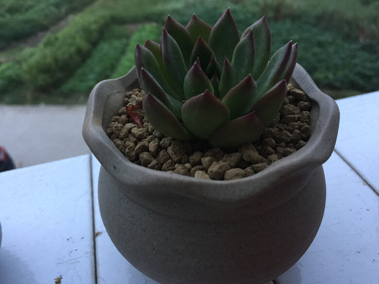 ������¼�