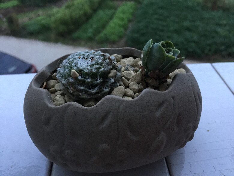 ������¼�