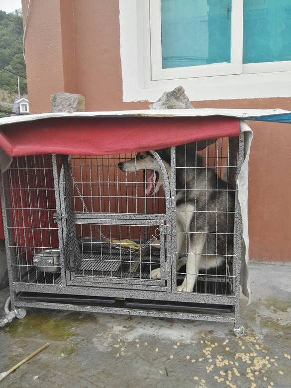 ��ë���������󷽷�