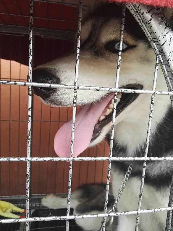 ��ë���������󷽷�